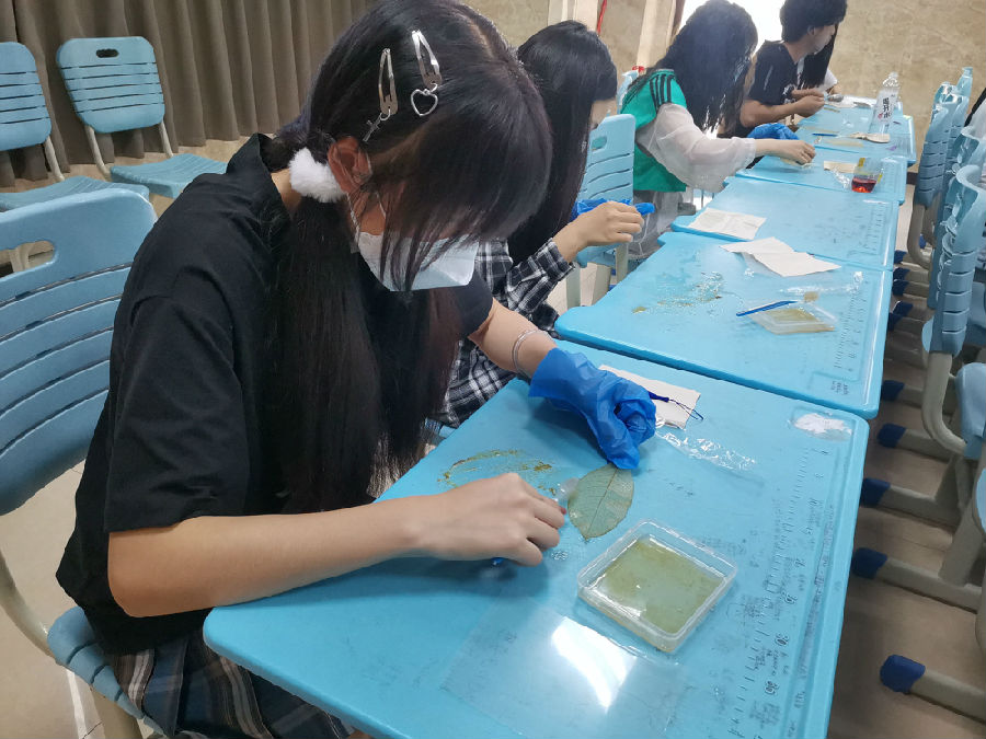 QQ图片20220410193120.jpg