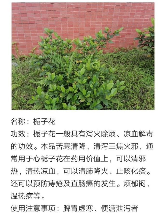 QQ图片20220430190742.jpg